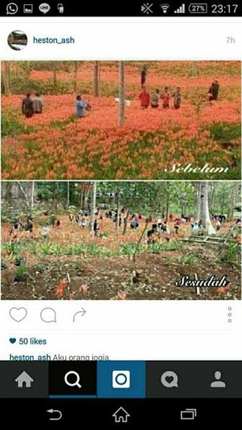 Keadaan sebelum dan sesudah taman bunga dirusak.