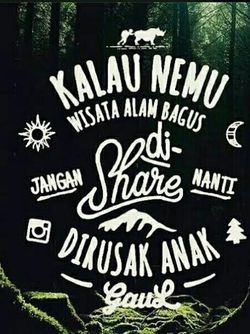 Meme Sentil Perusak Taman Bunga Gunungkidul