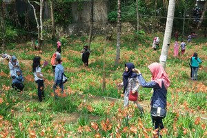 Kasus Gunungkidul, Bukti Wisatawan Butuh Edukasi