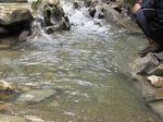 Sungai Sebening Kristal di Pedalaman Papua