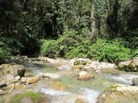 Ini adalah air Sungai Wabu. Lokasinya di tengah hutan yang biasa dilewati masyarakat setempat untuk berburu hewan. Walau begitu, tidak ada sampah tergenang di air sungainya. Jernih! (Afif/detikTravel)