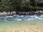 Sungai Sebening Kristal di Pedalaman Papua