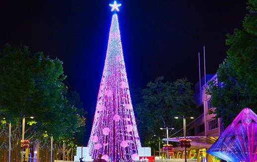 Pohon Natal dengan Lampu Terbanyak Ada di Canberra