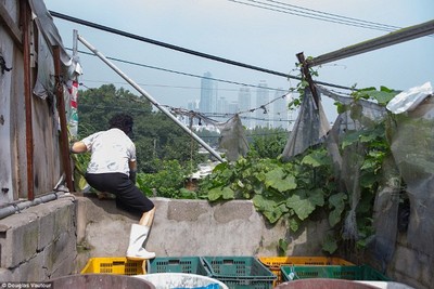 Potret Pemukiman Kumuh di Balik Gemerlap Seoul