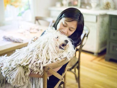 Ini Beast, Anjing Gimbal Zuckerberg yang Menggemaskan