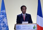 Jokowi Pidato di Conference of Parties