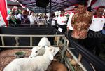 Mentan Amran Sulaiman Tinjau TSTP Bogor