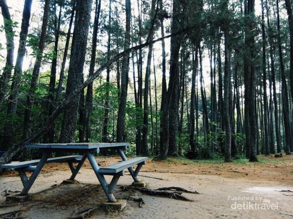 Taman Hutan Raya Juanda Bandung Yang Instagram Able