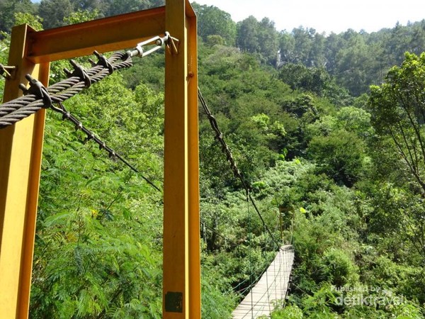 Taman Hutan Raya Juanda Bandung Yang Instagram Able