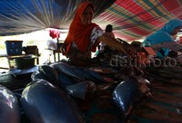 Pasar tersebut akan berpindah ke tiga desa yaitu Desa Ratatotok Tenggara, Desa Ratatotok Dua dan Desa Ratatotok Utara.