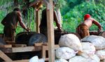 Penambang Emas Tradisional Desa Ratatotok