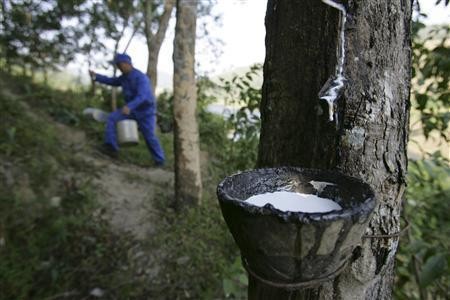 Harga Karet Anjlok Bikin Petani Rugi, Mentan Janji Cari Solusi