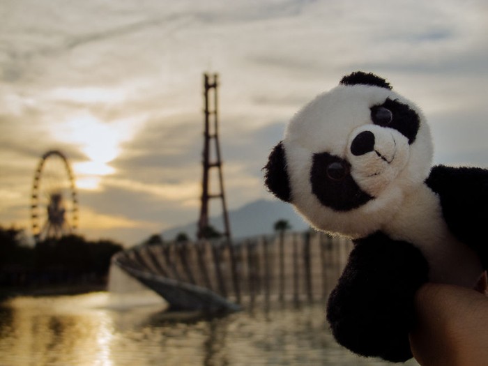 Kamu Bakal Iri dengan Boneka Panda Traveler Ini