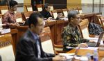 8 Capim KPK Buat Makalah
