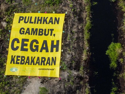 Selamatkan Lahan Gambut Cegah Kebakaran
