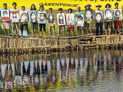 Boomerang Ikut Aksi Penyelamatan Hutan