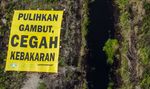 Selamatkan Lahan Gambut Cegah Kebakaran