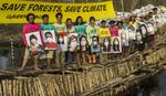 Boomerang Ikut Aksi Penyelamatan Hutan