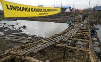 Mereka juga membuat tanggul untuk mencegah distribusi batang kayu hasil pembalakan liar. Ardiles Rante/Greenpeace.