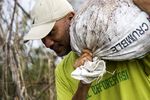 Boomerang Ikut Aksi Penyelamatan Hutan