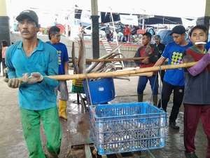 Nelayan Aceh Butuh Pabrik Es Tapi Listrik Sering Mati