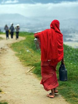 Negeri di Atas Awan yang Benar-benar Nyata