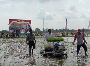 Mentan: Kenapa Anak Petani Tak Mau Jadi Petani?