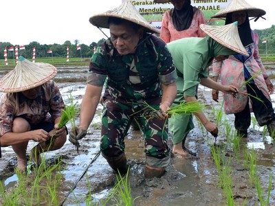 Pangdam Iskandar Muda Tanam Padi
