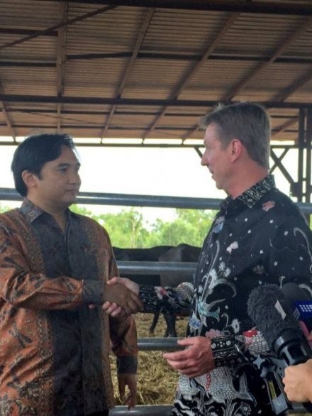 Bantu Produksi Daging dan Susu, Australia Sumbangkan 4 Kerbau ke Indonesia