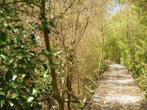 Usai Mencoblos di 6 Kota Ini, Yuk Saatnya Jalan-jalan