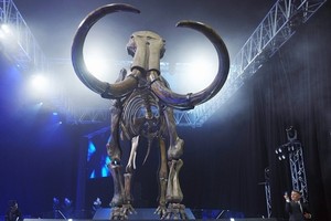 Suguhan Tak Biasa dari Mal di Abu Dhabi: Fosil Mammoth Raksasa