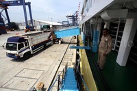 Ratusan sapi itu kemudian diangkut menggunakan truk.