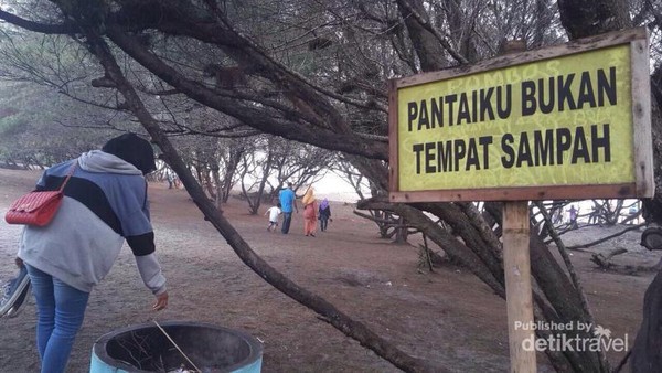 Bantul Punya Pantai Cantik Dibalik Pohon Cemara