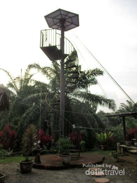 Taman Bunga Di Medan Yang Wajib Dikunjungi Pesona Indonesia