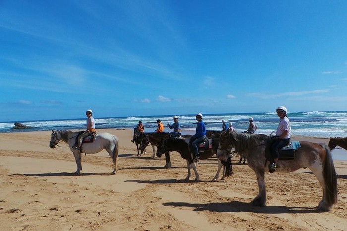 Serunya Berkuda Menyusuri Pantai di Melbourne