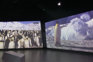 Pertama di Dunia, Pengalaman Antartika Interaktif di Phillip Island, Australia