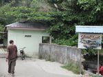 Foto-foto Belut Keramat Raksasa Maluku