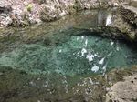 Foto-foto Belut Keramat Raksasa Maluku