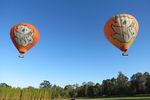Melayang Damai dengan Balon Udara di Gold Coast