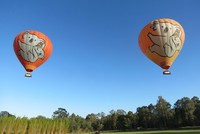Naik balon udara di Gold Coast, Australia, adalah pengalaman tak terlupakan untuk wisatawan. Terbang tinggi dan melihat pemandangan indah di pagi hari (Fitraya/detikTravel)