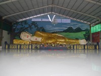 Patung Buddha tidur raksasa tersebut panjangnya 18 meter dan tinggi 3,75 meter. Di belakangnya, ada lukisan pemandangan pegunungan dan pohon sala (Kurnia/detikTravel)