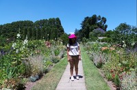 Kebun indah ini paling pas dijadikan tempat untuk foto-foto. Hamparan bunga yang cantik memang menjadi latar foto yang indah (Rita/detikTravel)