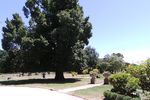 Kebun Indah Bekas Kediaman Penyanyi Opera di Yarra Valley, Australia