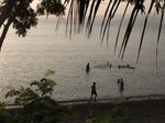Berenang di Depan Hollywood