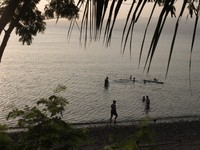 Sebenarnya, Desa Eri ini masuk dalam jalur menuju ke Pantai Pintu Kota. Tapi sayang, kebanyakan wisatawan tidak ngeh ada tulisan Hollywood. Apalagi, belum ada fasilitas seperti tempat parkir dan warung makan di sana. Kalau mau parkir, mobil harus berhenti di pinggir jalan raya (Afif/detikTravel)