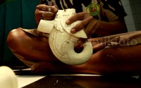 Untuk kayu astonia yang dipakai untuk membuat wayang golek, banyak diperoleh dari daerah Cikotok di Banten.