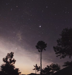 Do the Stars gaze us back?