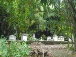 Makam Belanda, Spot Anti Mainstream di Kebun Raya Bogor