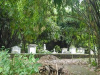 Makam Belanda itu lokasinya memang agak tertutup pohon-pohon bambu yang tumbuh subur di sekitarnya. Suasana makam pun terasa sunyi, apalagi ketika sore menjelang (Kurnia/detikTravel)