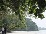 Pantai Berpasir Putih di Ambon, Cantiknya!